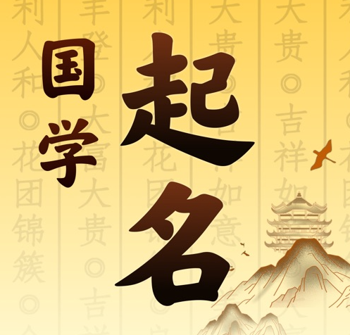正安国学起名 人工起名一对一